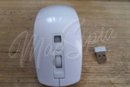 mouse_157311806