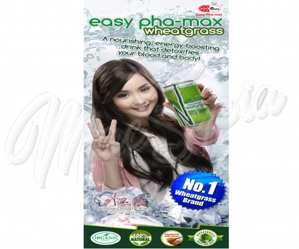 easy_pha_max_1_flyer