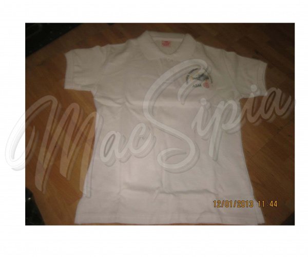polo_shirt_with_colar_with_embroidery_1
